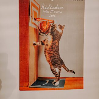 Kalendarz z kotami 2026 czyli Kalendarz kota Filemona
