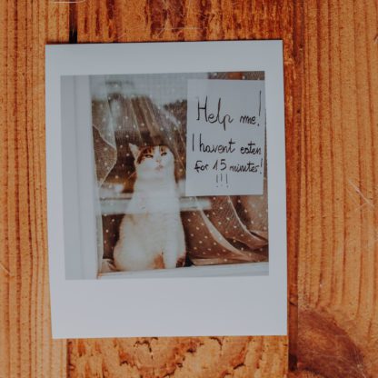 Polaroid: Nic nie jadłam od 15 minut!
