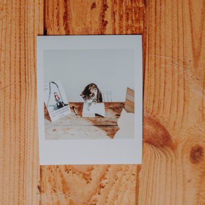 Polaroid: Napisałem swoją książkę!