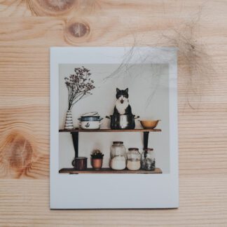 Magnes : Filemon w garnku