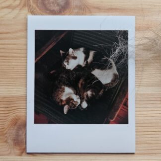 Magnes : Filemon i Blania