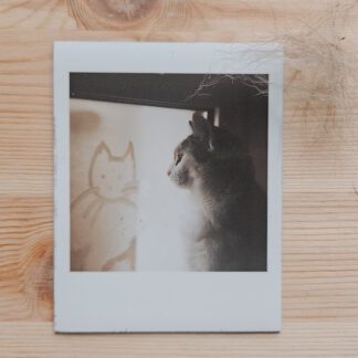 Magnes : Zapaczona Blania