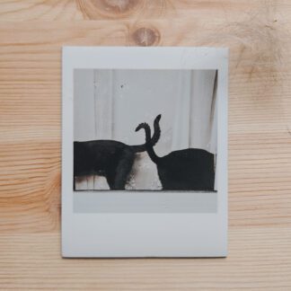 Magnes : Czarne ogonki