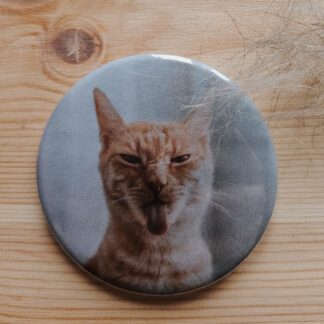 Przypinka: Rudy kot Meri