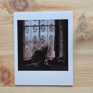 Polaroid: Blania w oknie