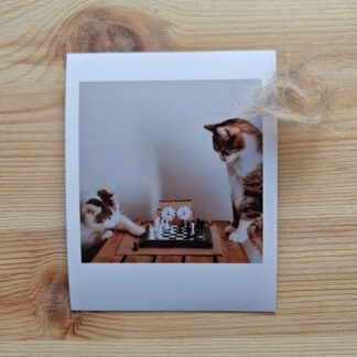 Polaroid: Koty grające w szachy