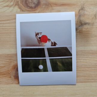 Polaroid: Kot Blania grający w tenis stołowy