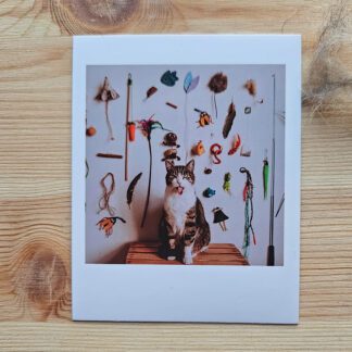 Polaroid: Trofea Filemona