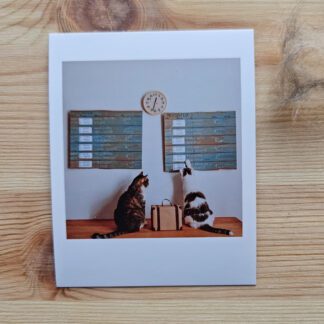 Polaroid: Kocia stacja kolejowa