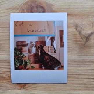 Polaroid: Kocia księgarnia