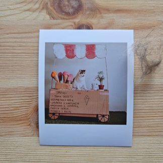 Polaroid: Kocia lodziarnia