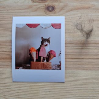 Polaroid: Filemon i lody
