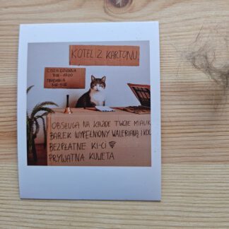 Polaroid: Koci hotel