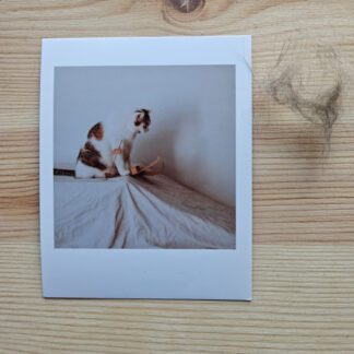 Polaroid: Kot Blania zjeżdżający na nartach