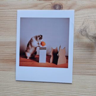 Polaroid: Zabawka przodków