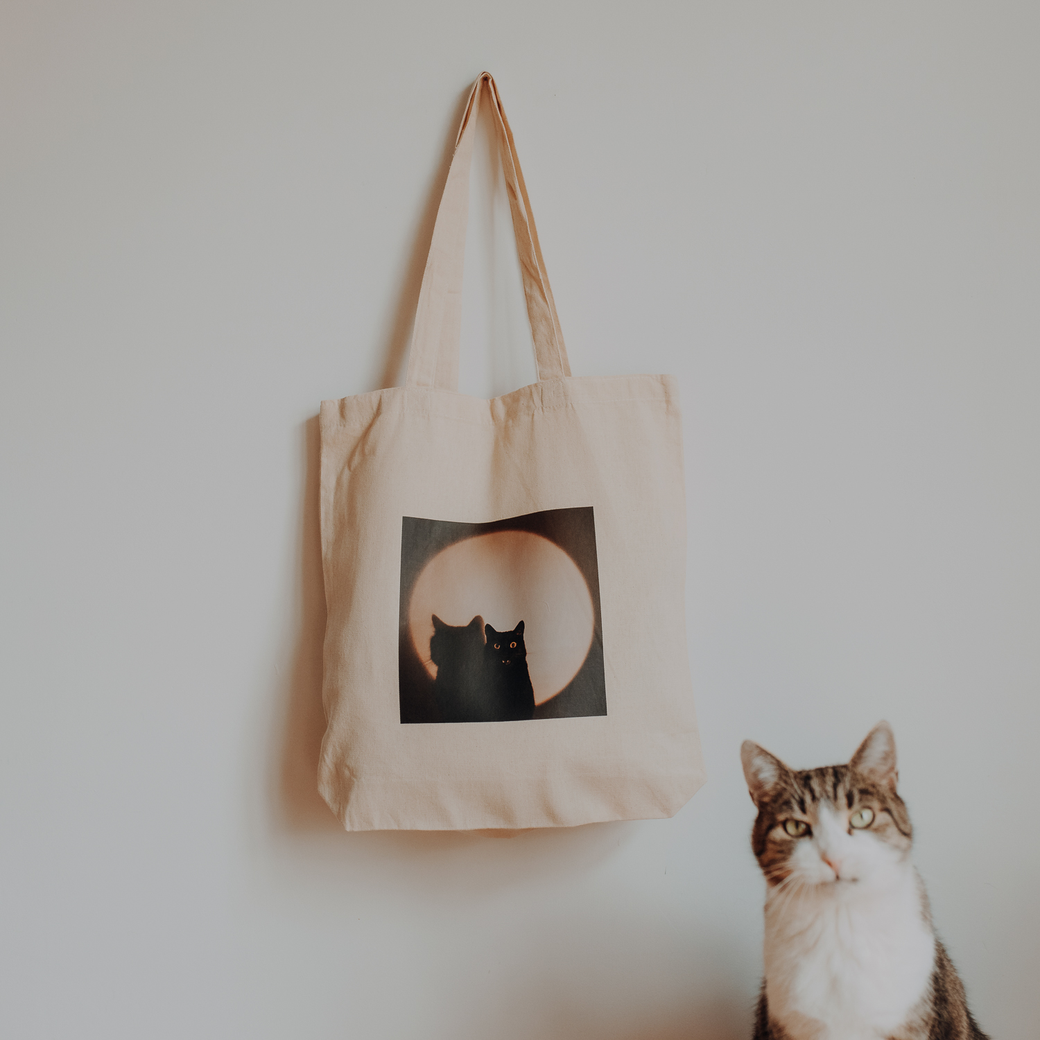 Torba bawełniana: Zara