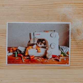 Naklejka: Kot szyjący na maszynie