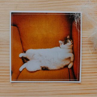 Naklejka: Śpiąca Blania