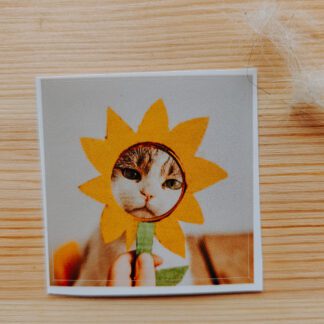 Naklejka: Słonecznik