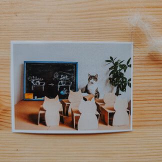 Naklejka: Kocia szkoła