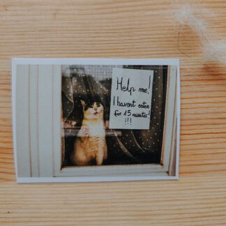 Naklejka: Nic nie jadłam od 15 minut!