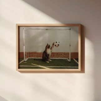 Plakat A3: Koci bramkarz