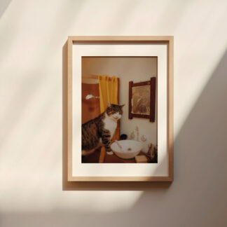Plakat A4: Filemon przy zlewie