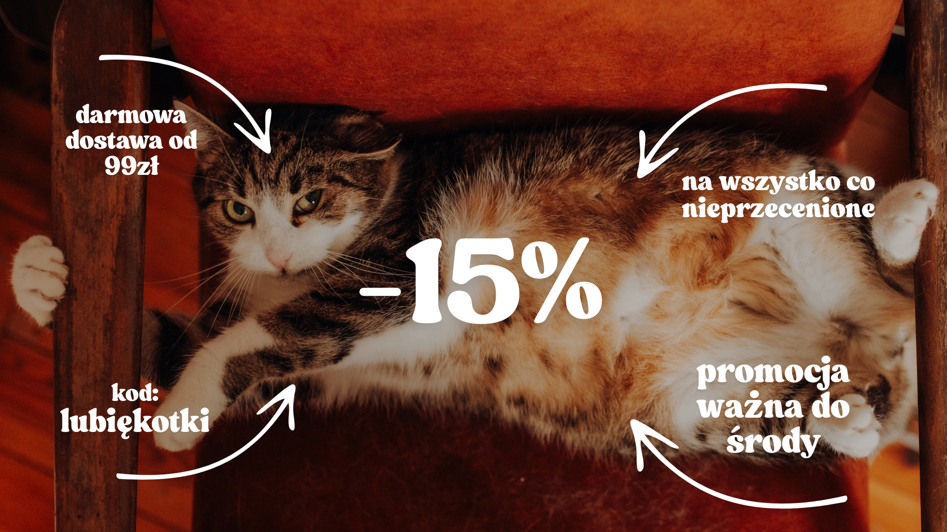 promocja na kocie rzeczy -15%