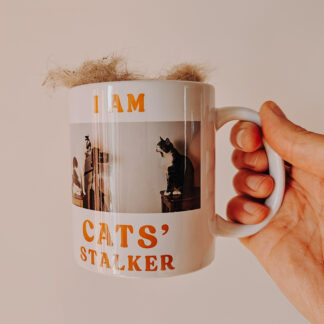 Koci kubek: I am cats' stalker